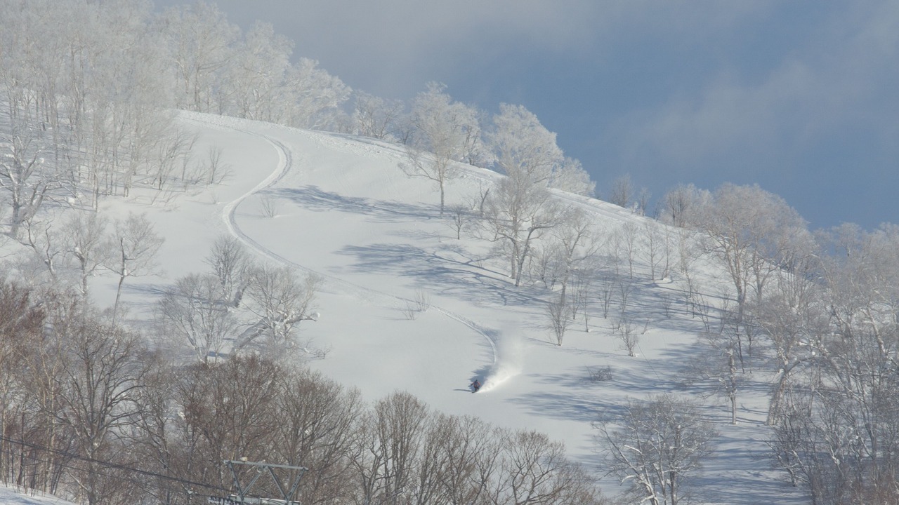 Photo of Others in Niseko