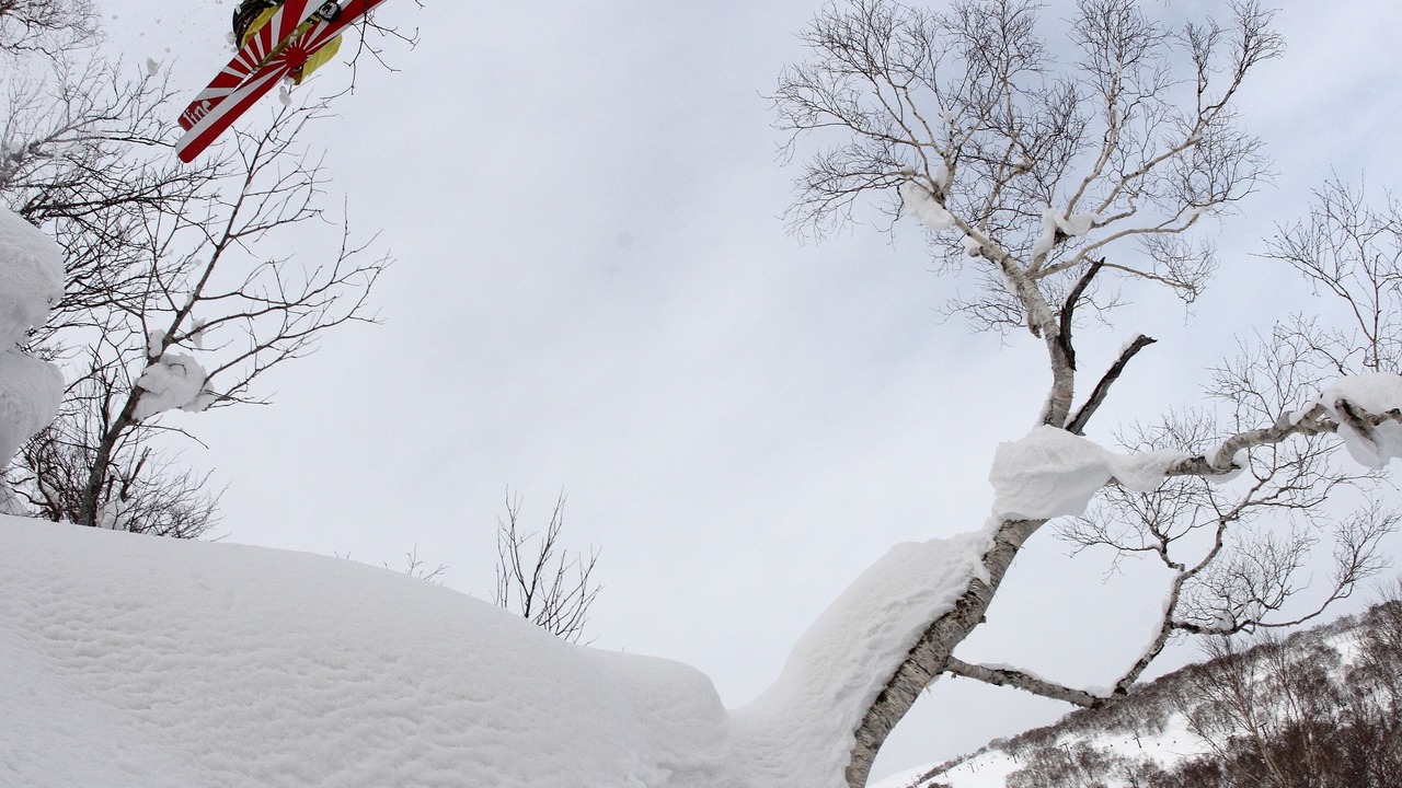 Photo of Others in Niseko