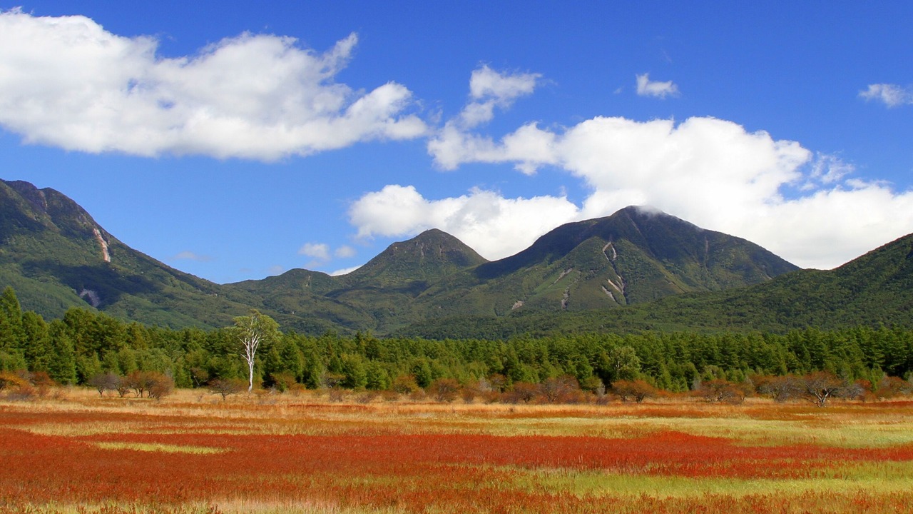 Photo of Outdoor in Nikko