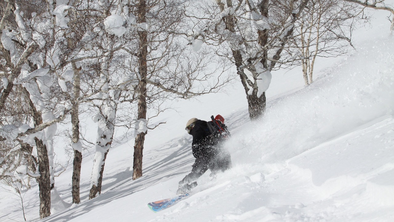 Photo of Others in Niseko