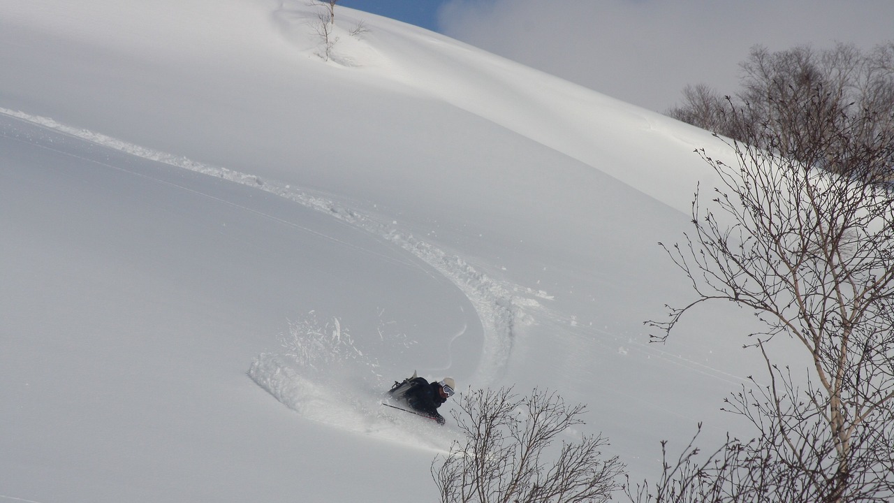 Photo of Others in Niseko