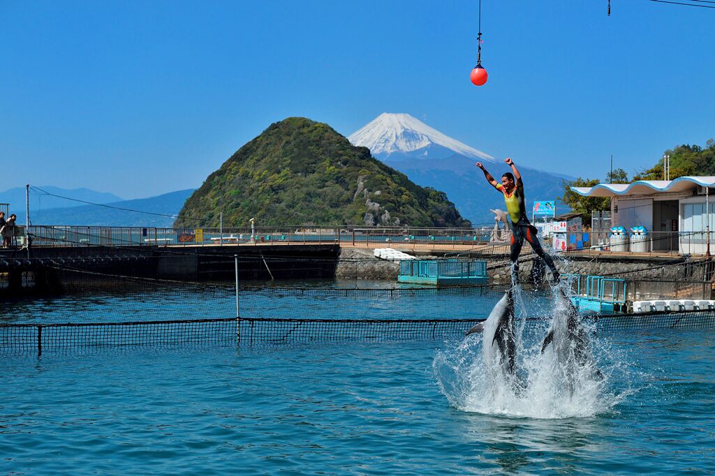 Photo of Others in Izu Nagaoka Onsen