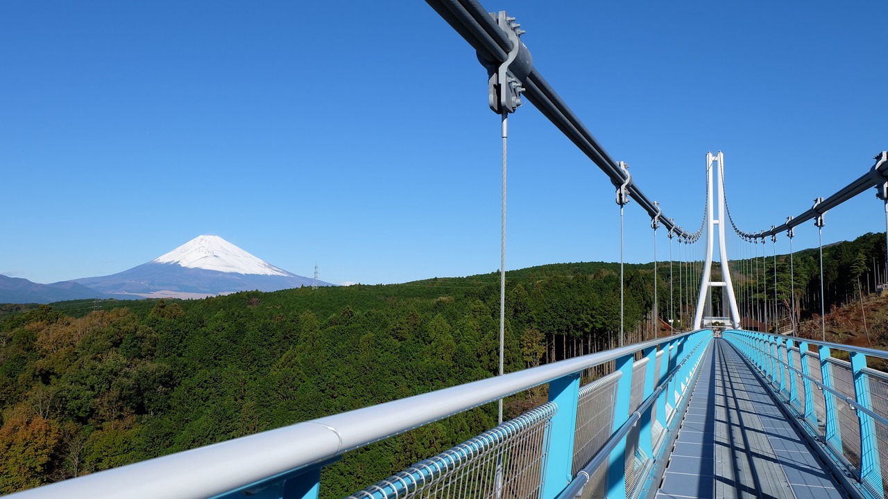 Photo of Others in Izu Nagaoka Onsen