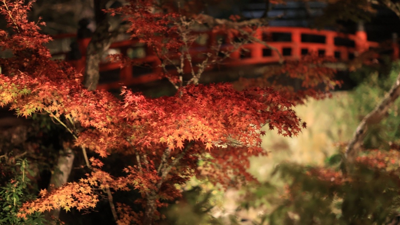 Photo of Others in Hatsukaichi