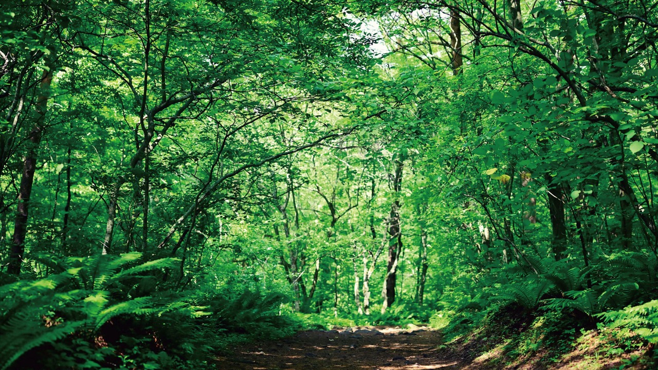 Photo of Outdoor in Kitashiobara