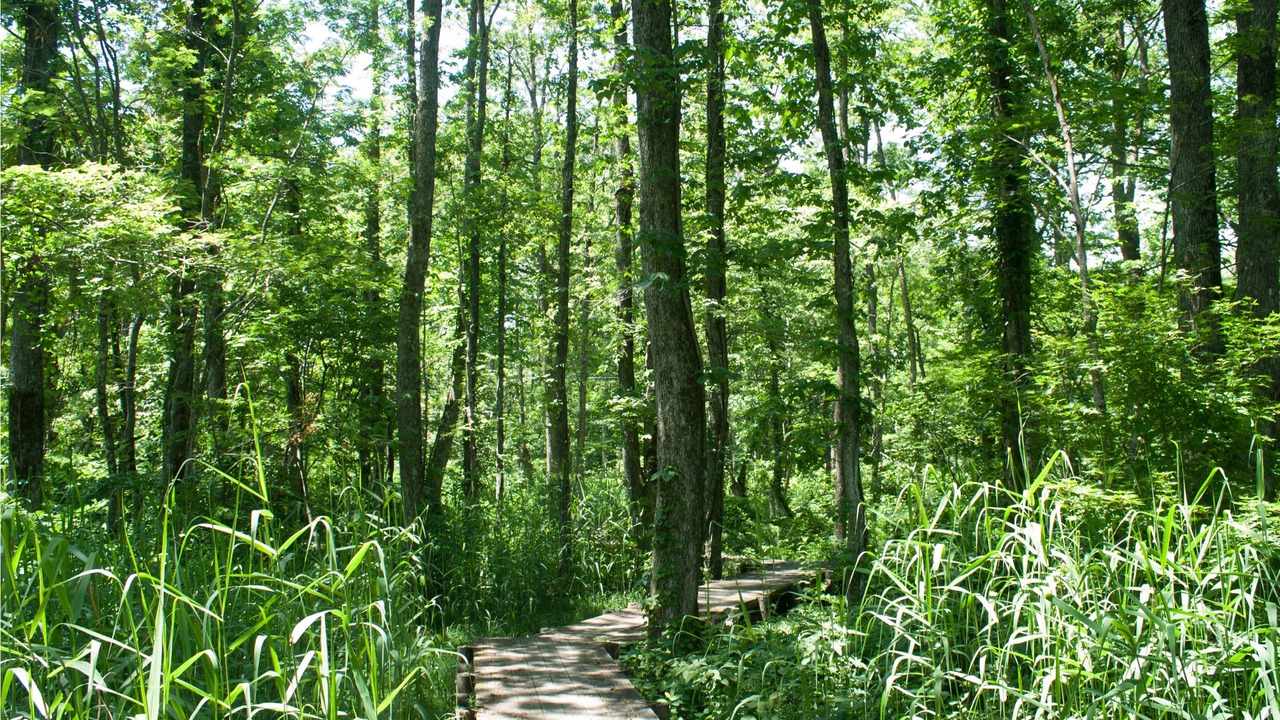 Photo of Outdoor in Kitashiobara