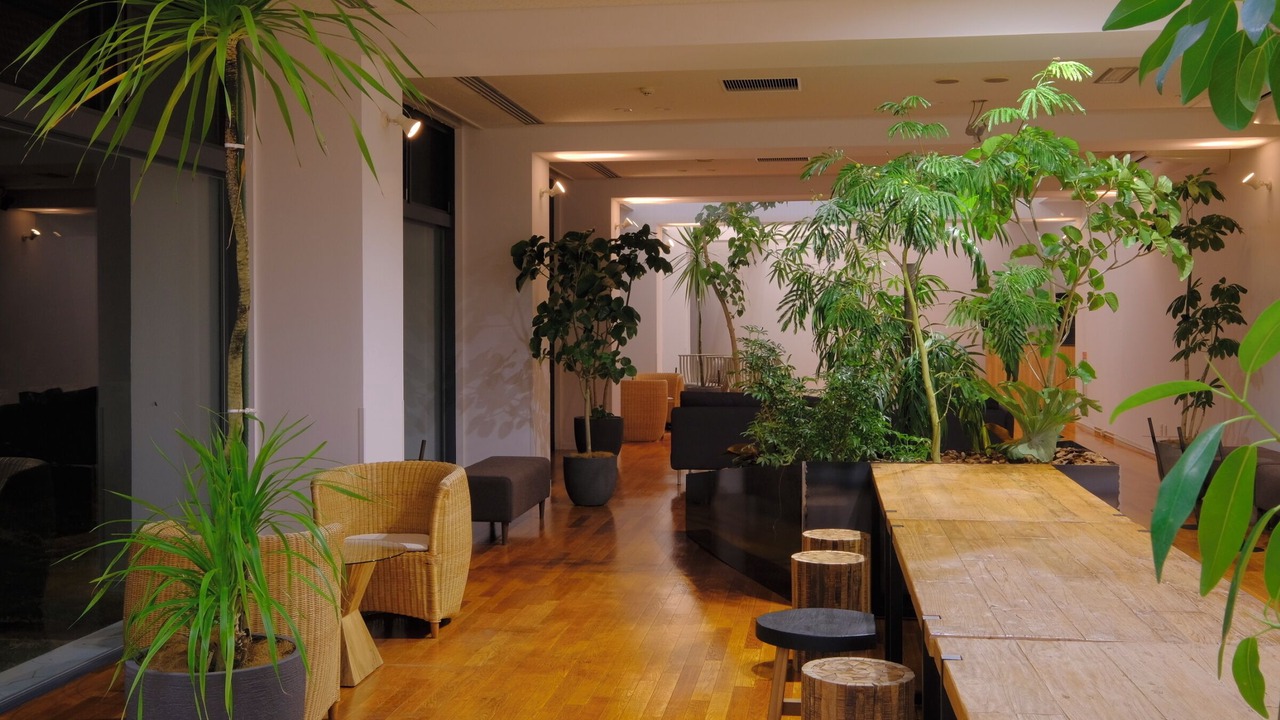 Photo of Others in Ashizurimisaki