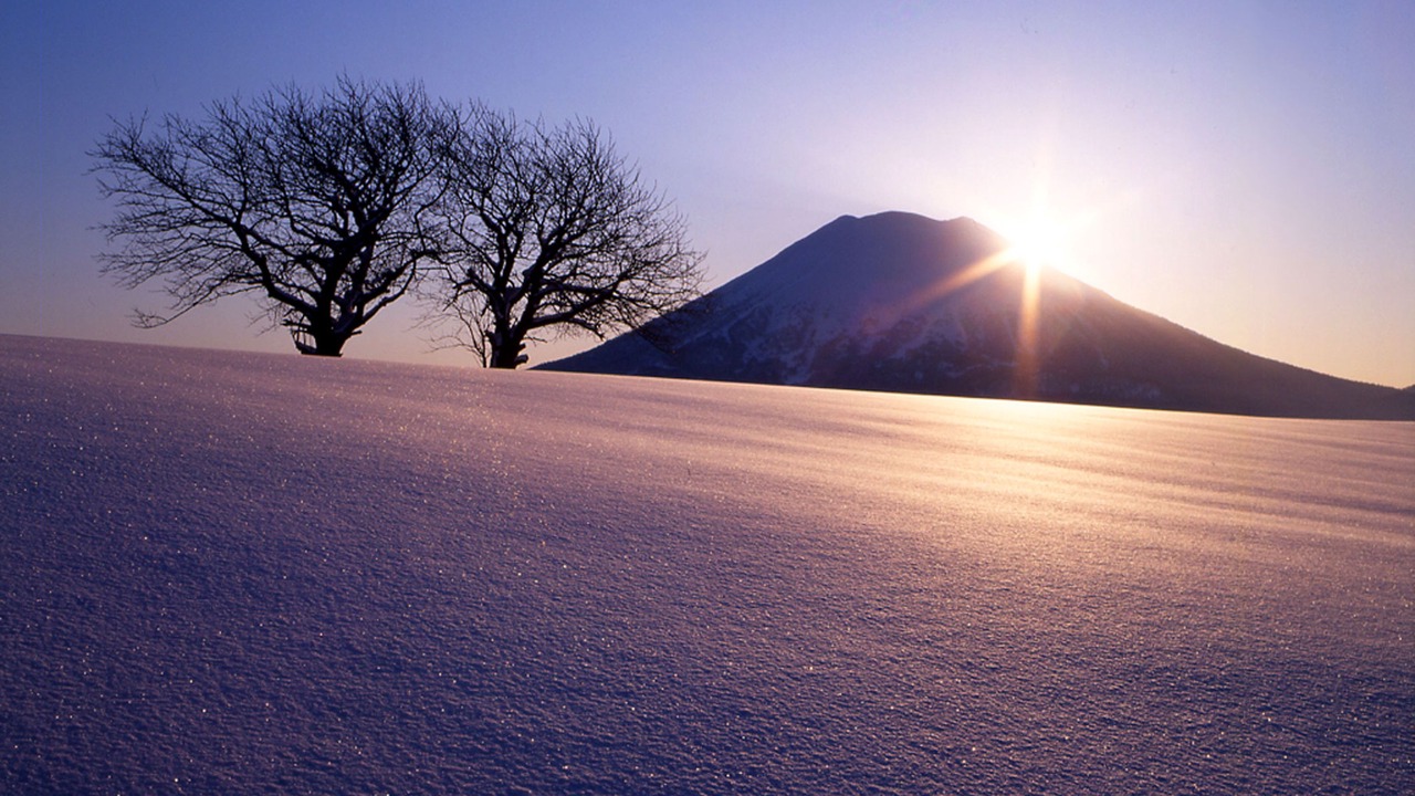 Photo of Others in Niseko