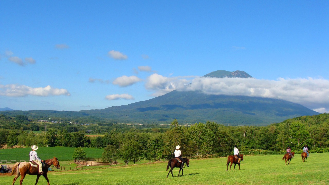 Photo of Others in Niseko