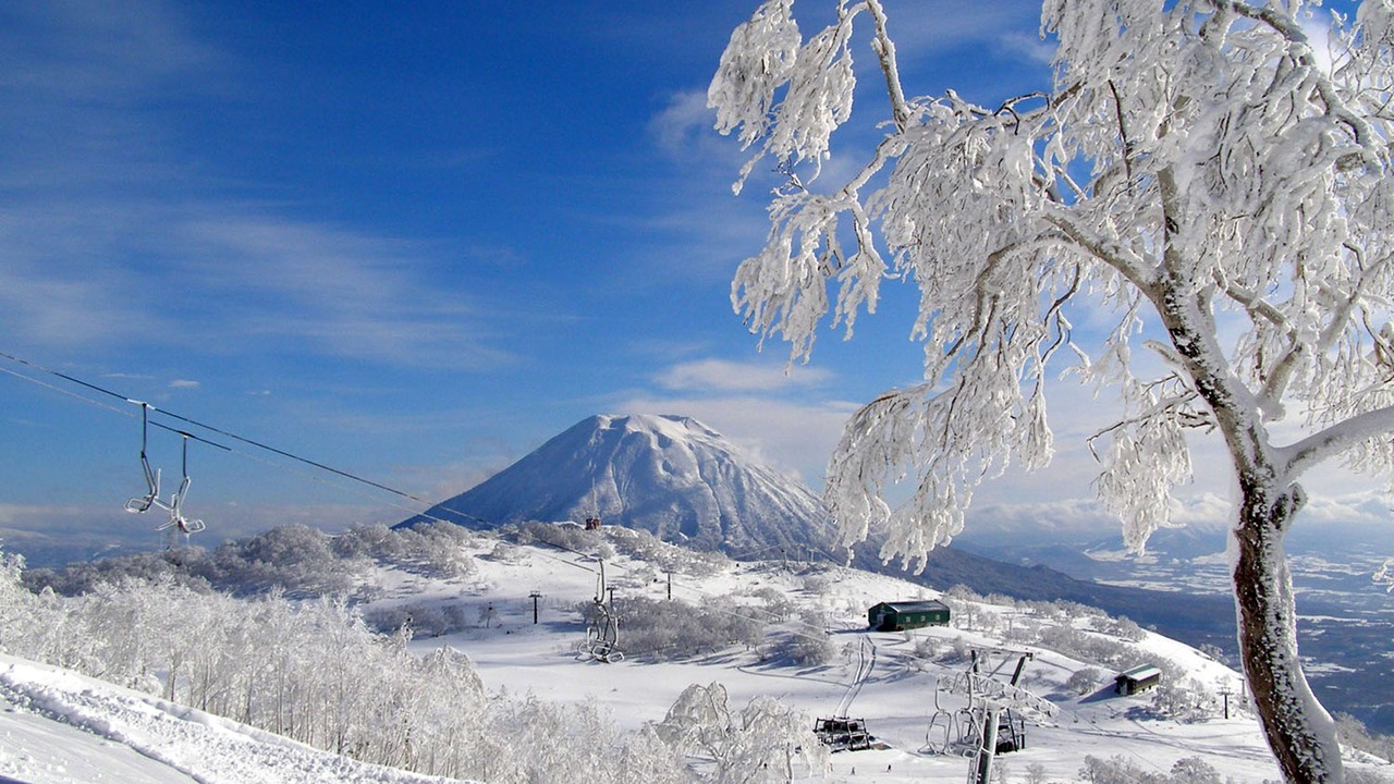 Photo of Others in Niseko