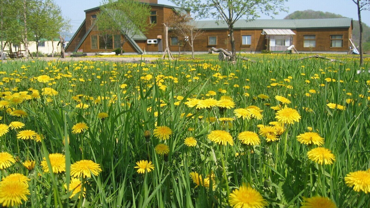 Photo of Outdoor in Teshikaga