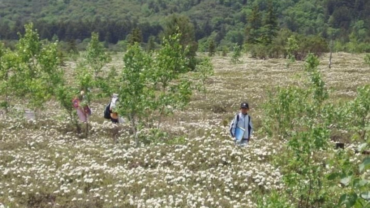 Photo of Outdoor in Mashu Onsen