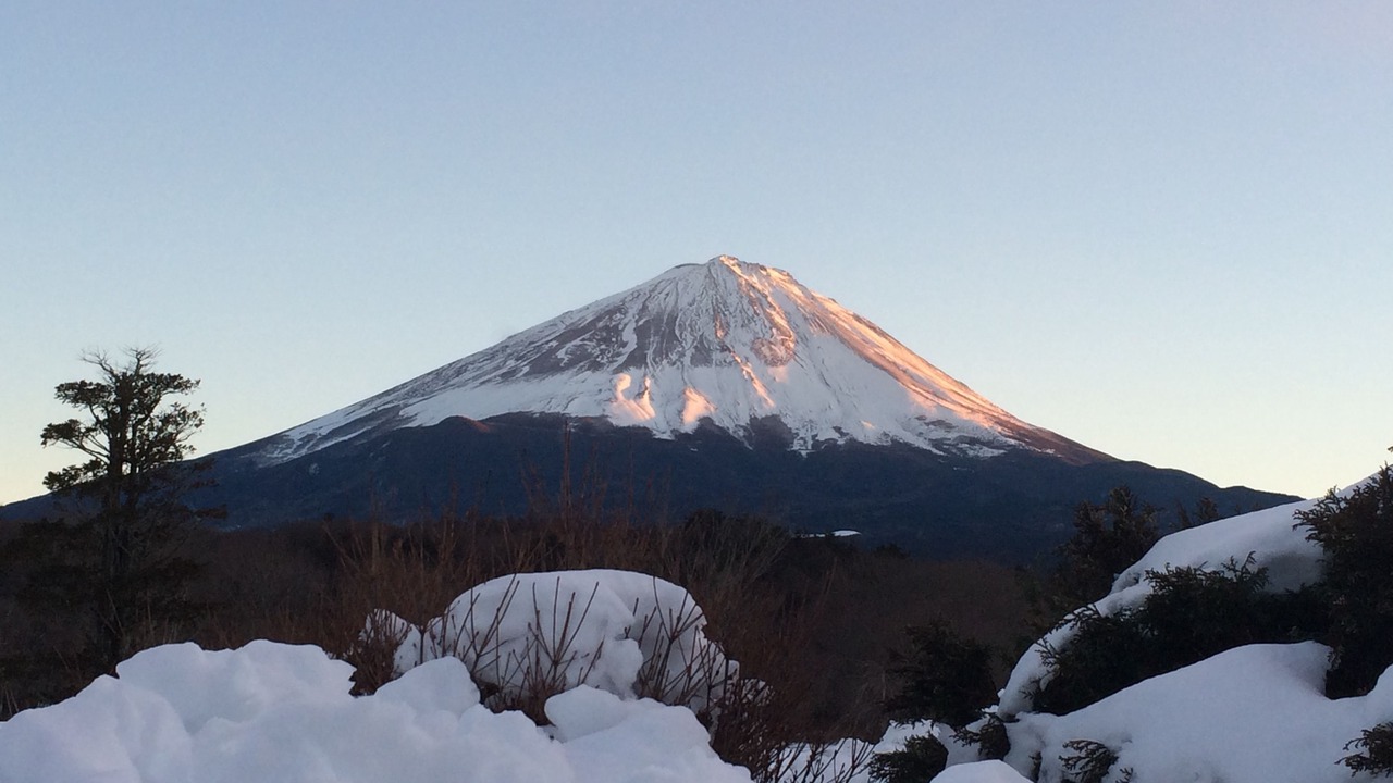 Photo of Others in Narusawa