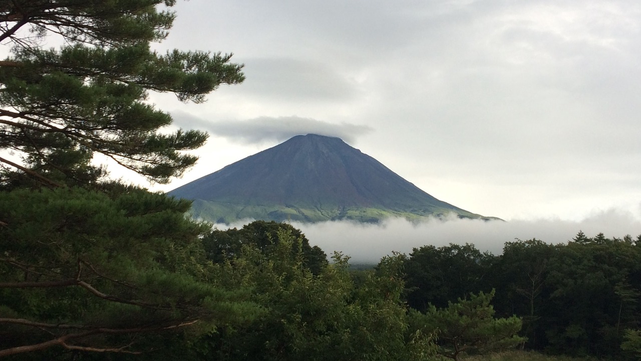 Photo of Others in Narusawa