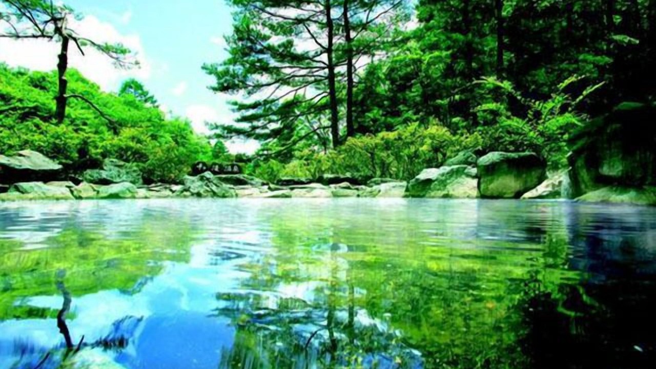 Photo of Others in Nakagomi