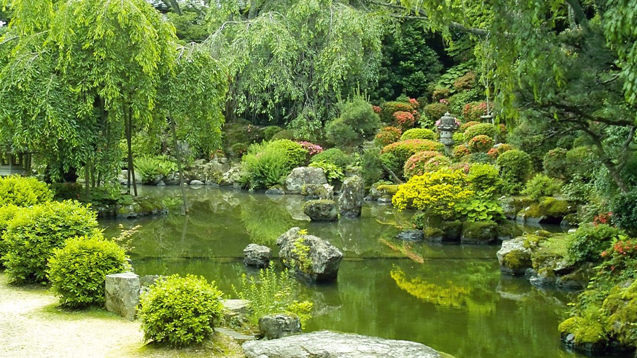 Photo of Others in Yoshino