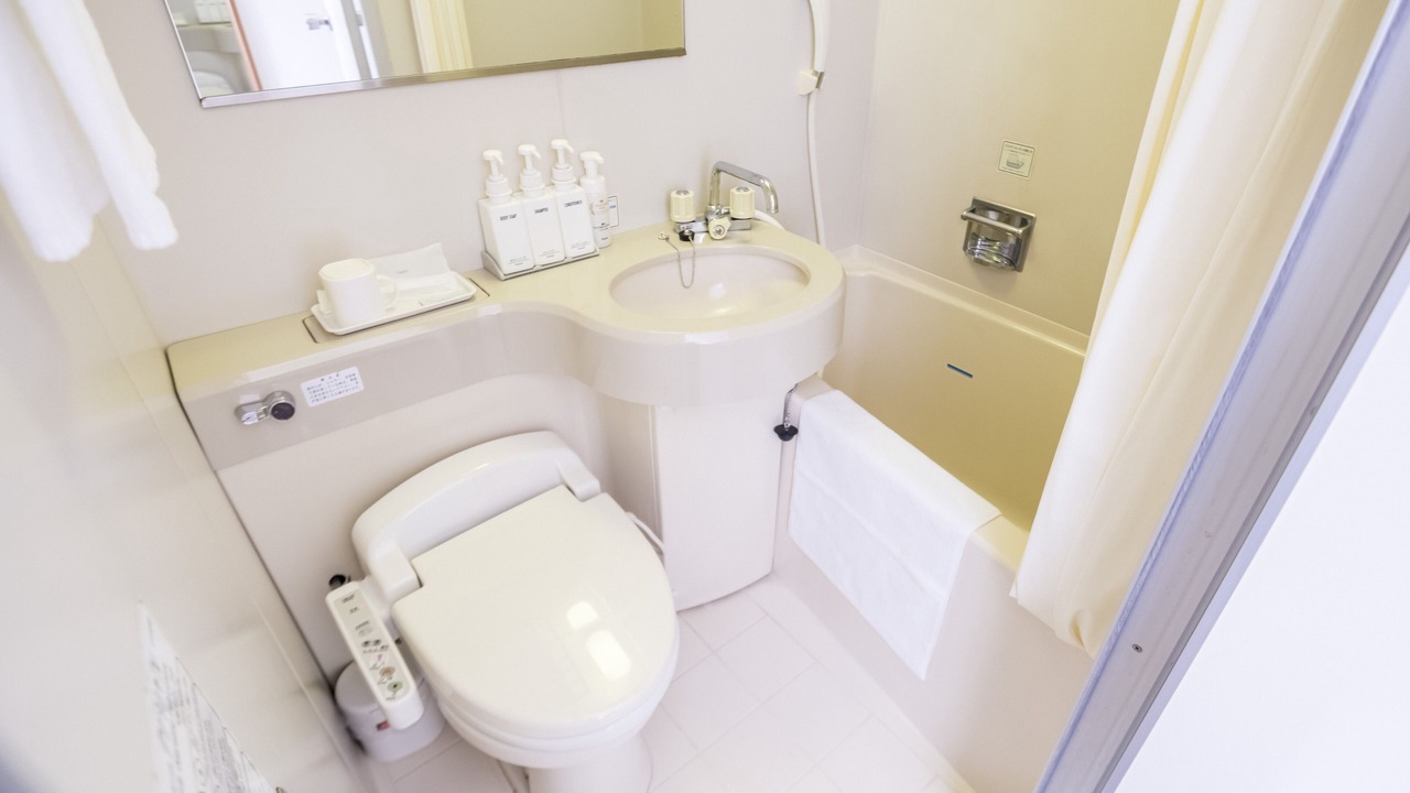 Photo of Bathroom in Hashimoto