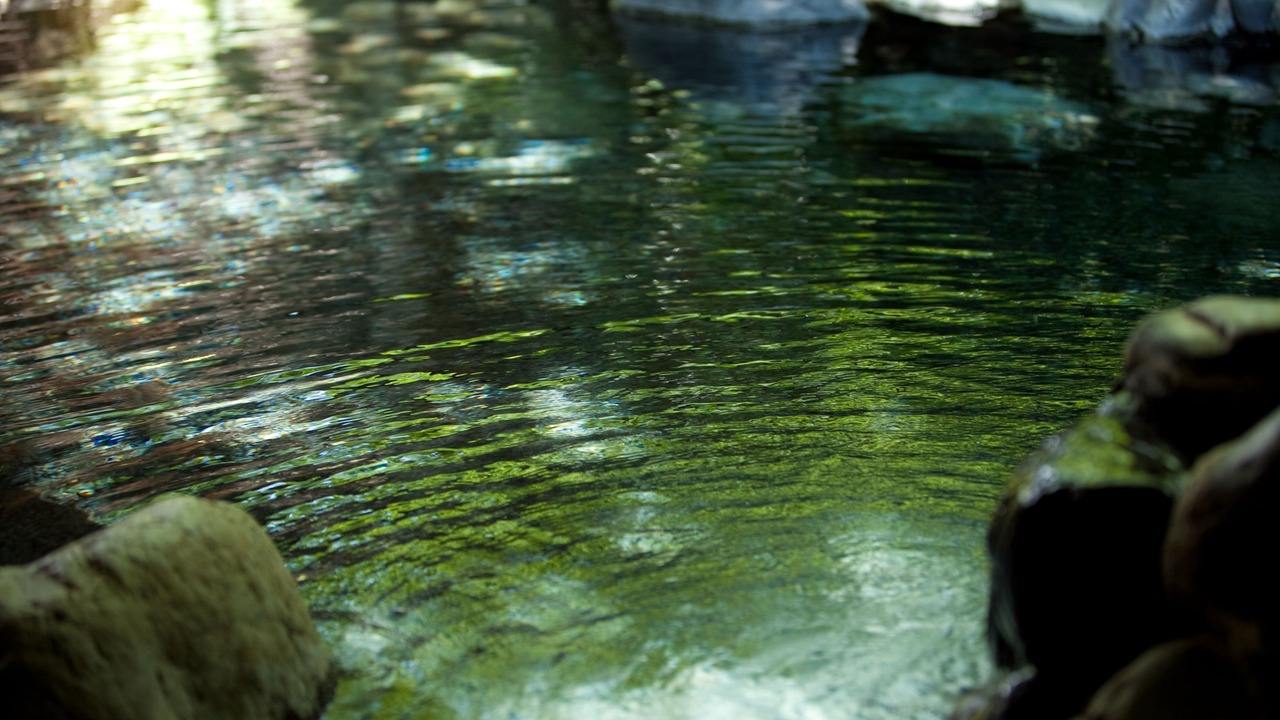 Photo of Others in Yufuin Onsen