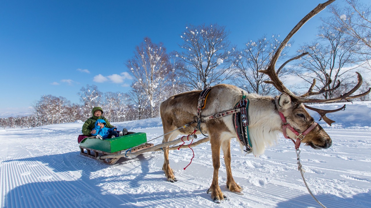 Photo of Outdoor in Niseko