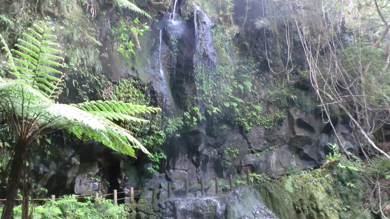 Photo of Others in Hachijo