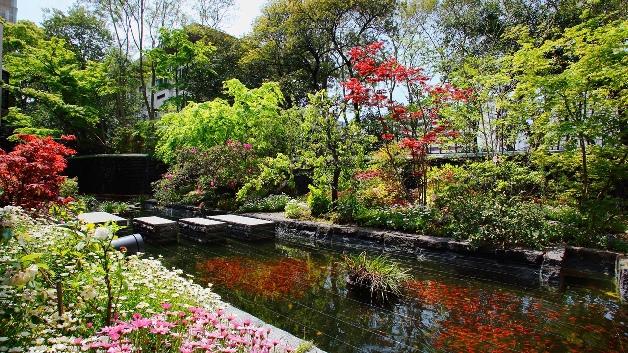 Photo of Outdoor in Chuo-ku