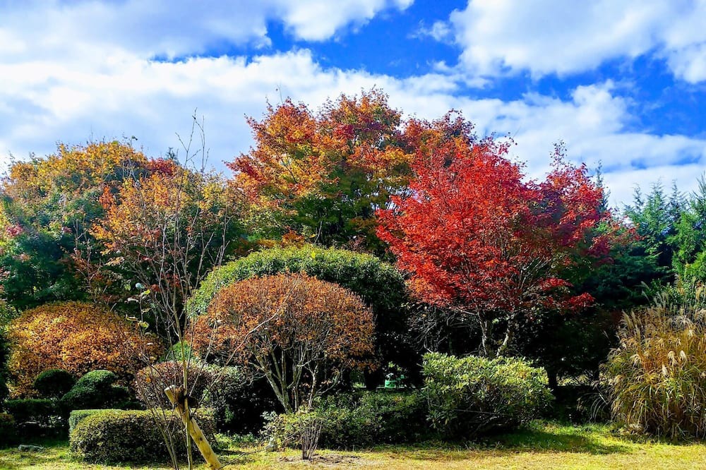 Photo of Outdoor in Kagamino