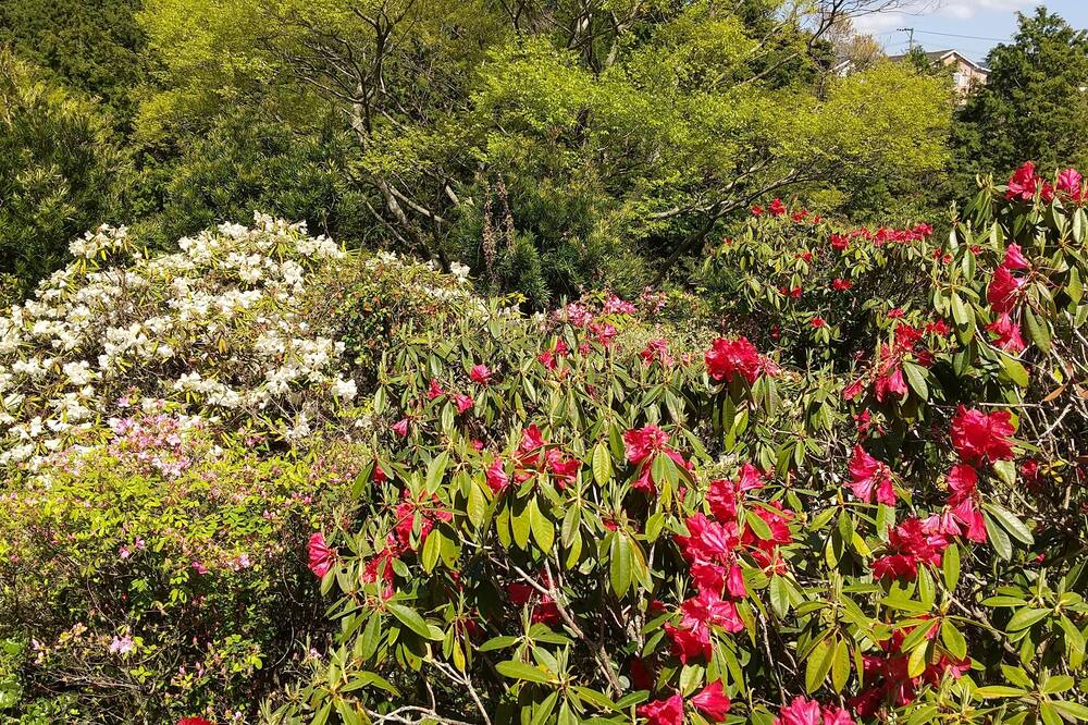 Photo of Outdoor in Omura