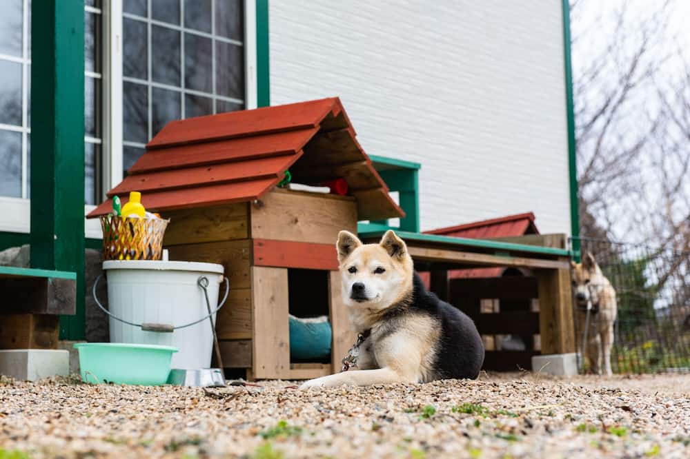 Photo of Outdoor in Omura