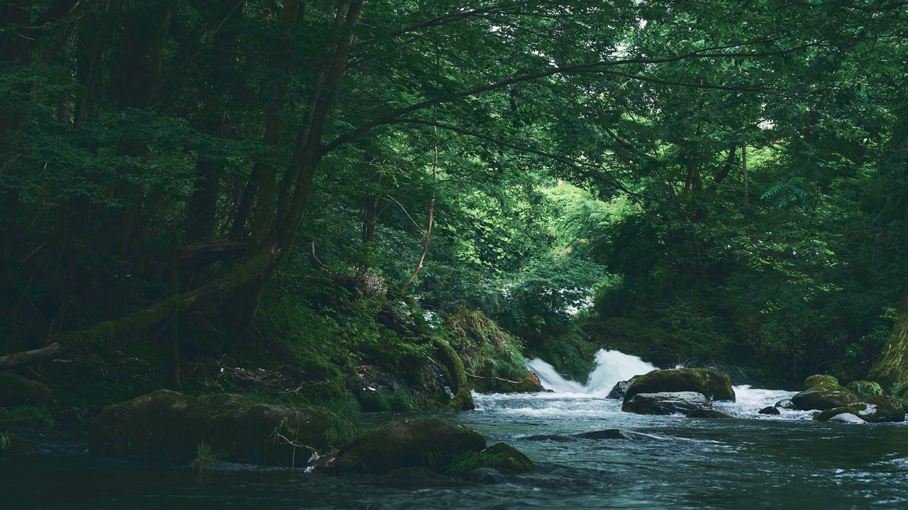 Photo of Outdoor in Oshino