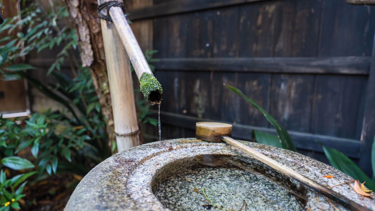 Photo of Outdoor in Shimada