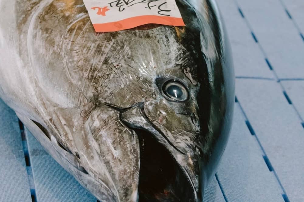 Photo of Others in Tenma