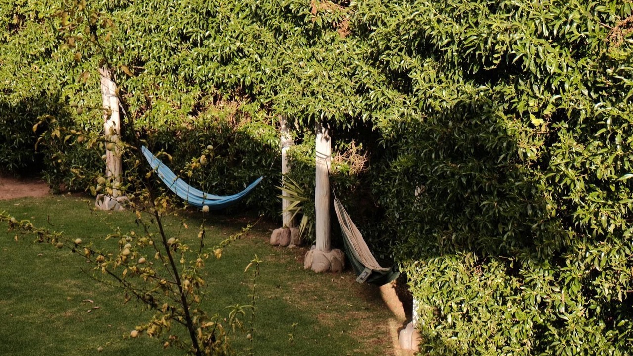 Photo of Outdoor in Lamay