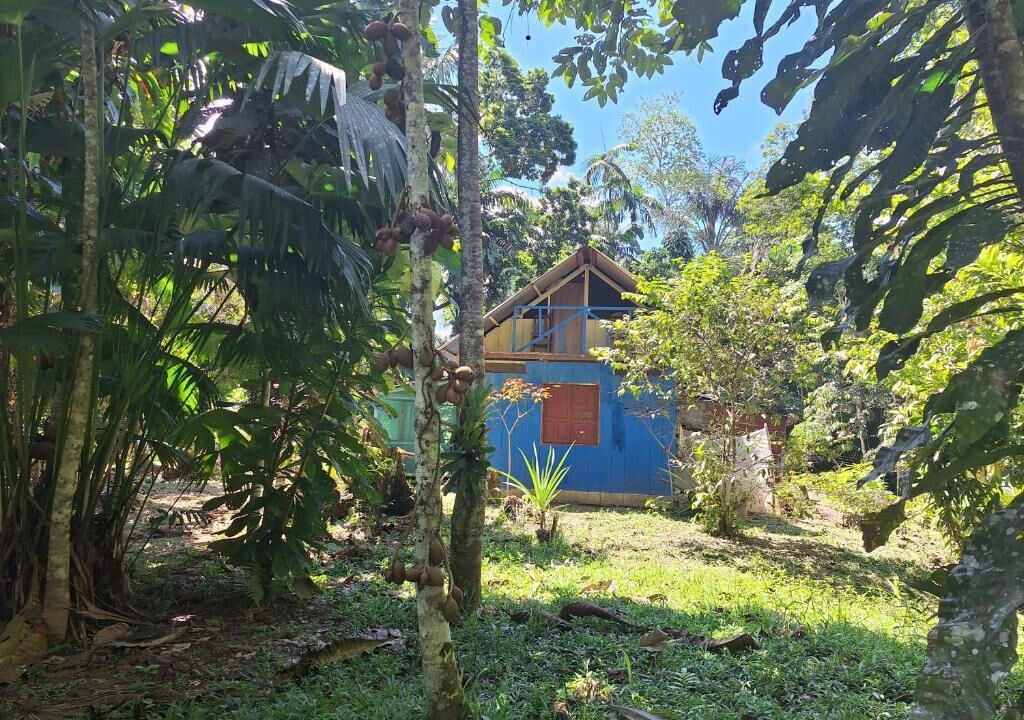 Photo of Outdoor in Iquitos