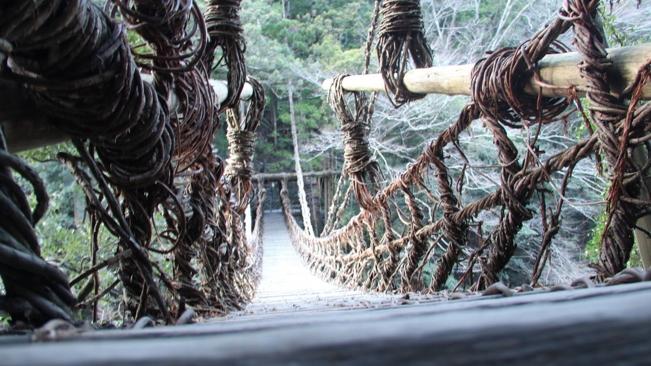 Photo of Others in Miyoshi