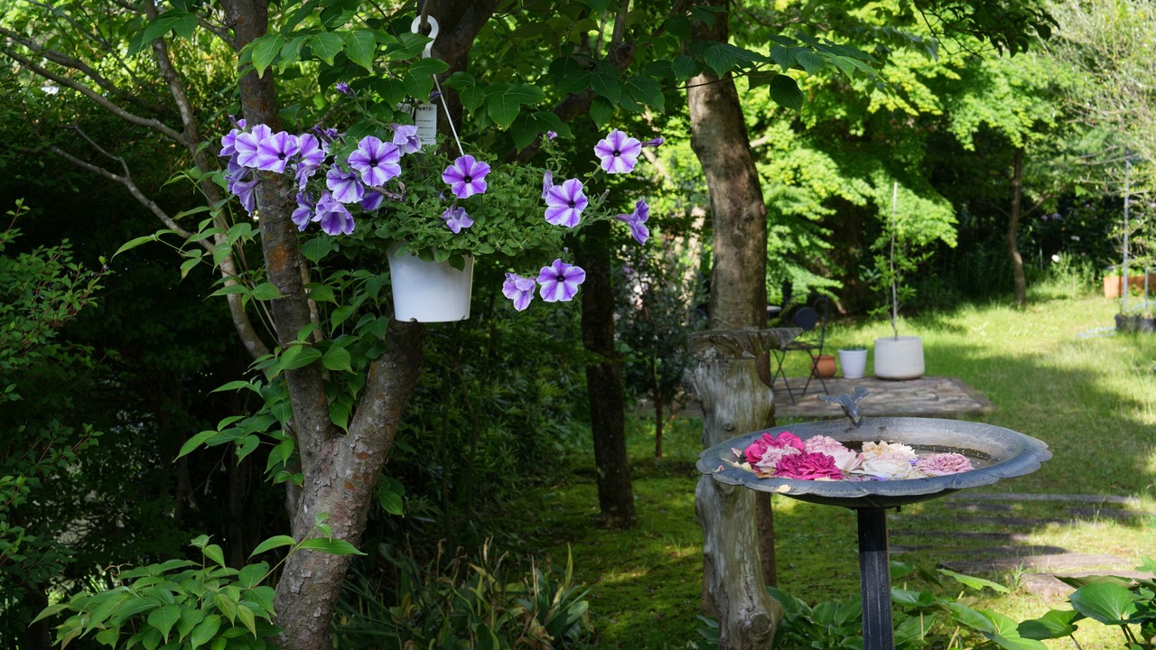 Photo of Outdoor in Yawatano