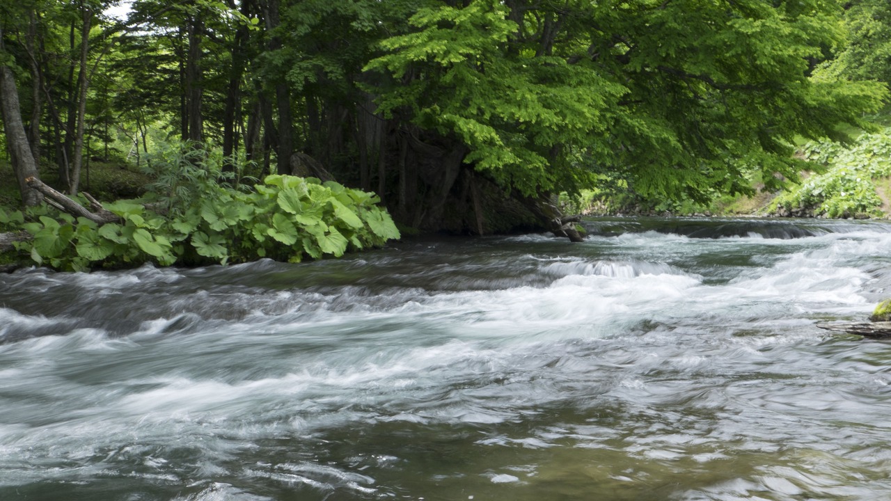 Photo of Others in Akanko Onsen