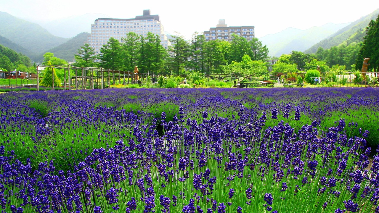 Photo of Outdoor in Inawashiro