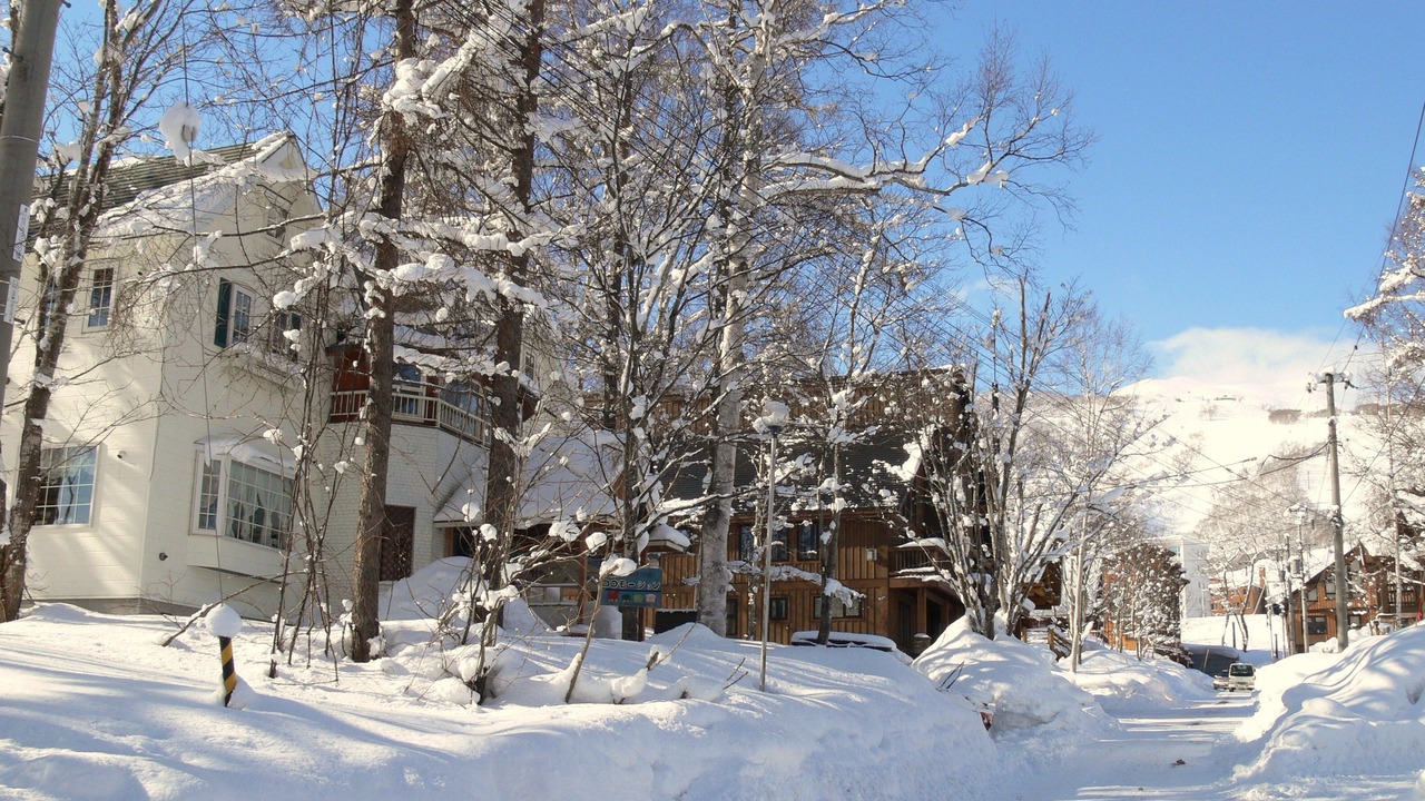 Photo of Outdoor in Hirafu