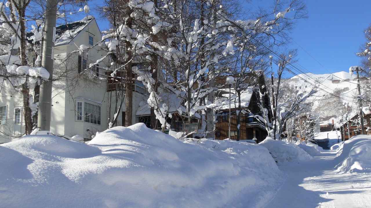 Photo of Outdoor in Hirafu