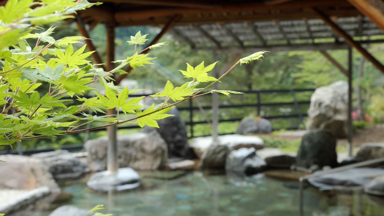 Photo of Bathroom in Kinugawa Onsen