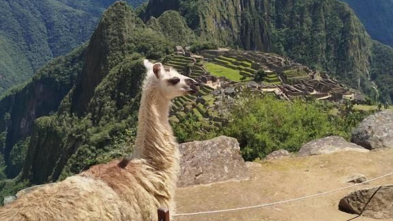 Photo of Others in Aguas Calientes