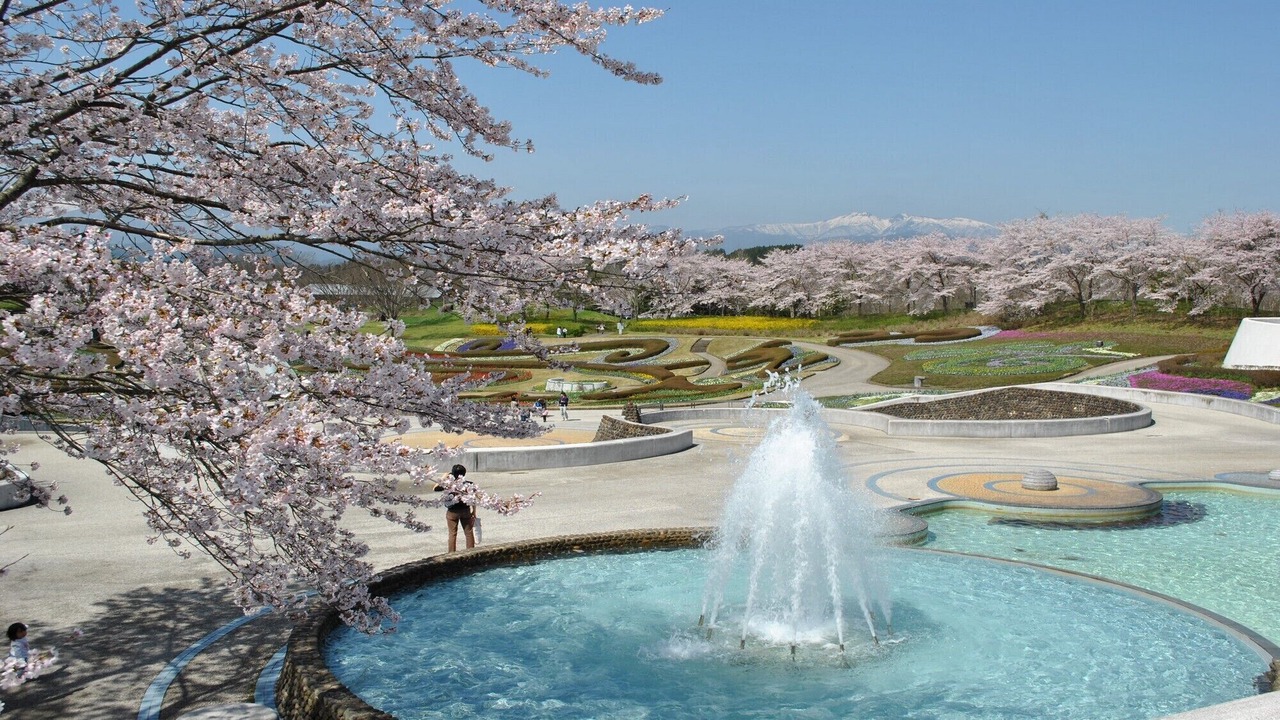 Photo of Outdoor in Onagawa