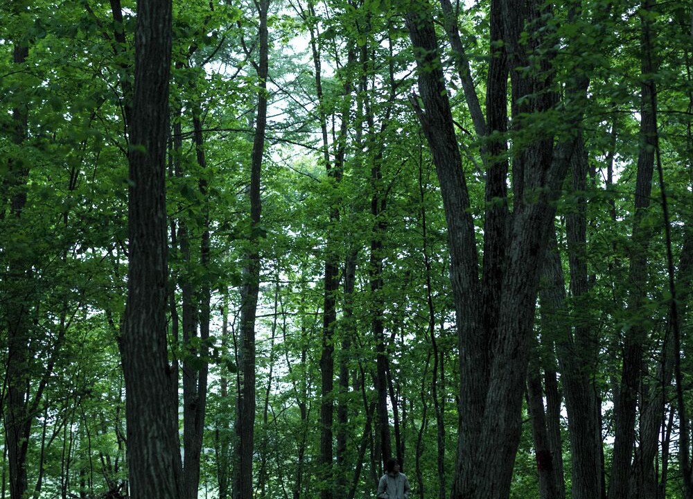 Photo of Others in Asahikawa
