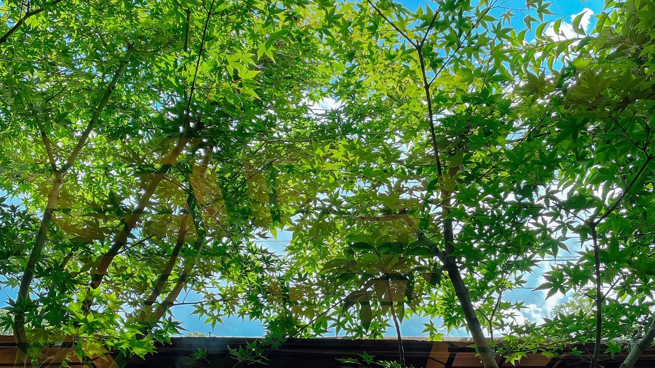 Photo of Outdoor in Beppu