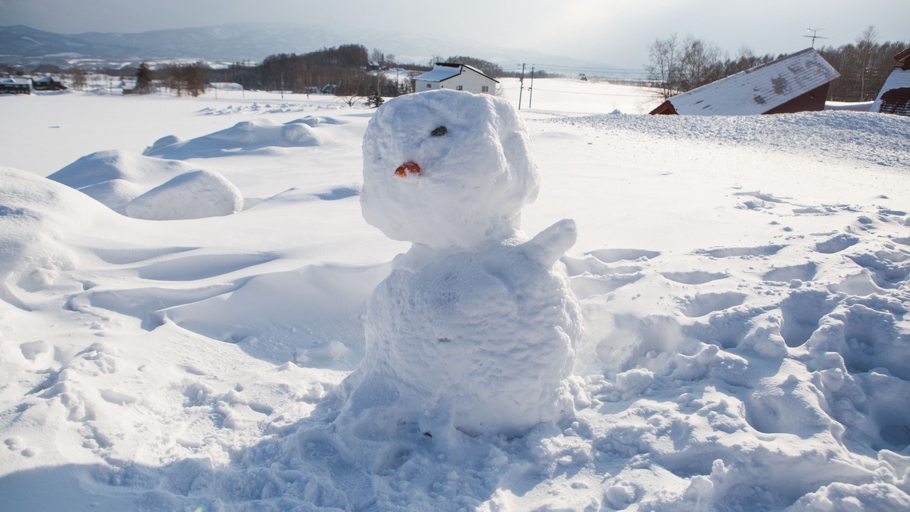 Photo of Others in Niseko