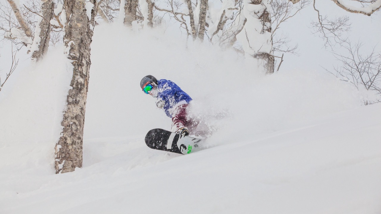 Photo of Others in Niseko