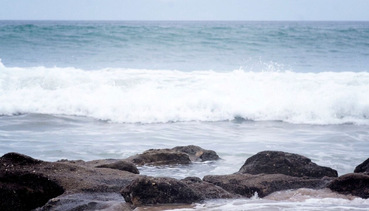 Photo of Others in Punta Sal