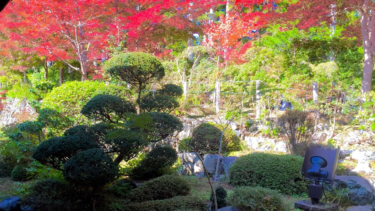 Photo of Others in Koyasan