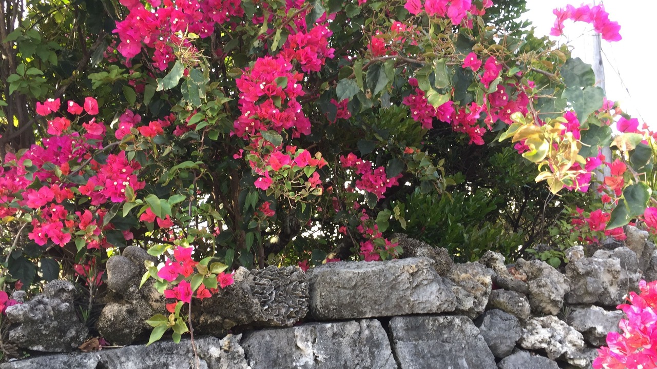 Photo of Outdoor in Uruma