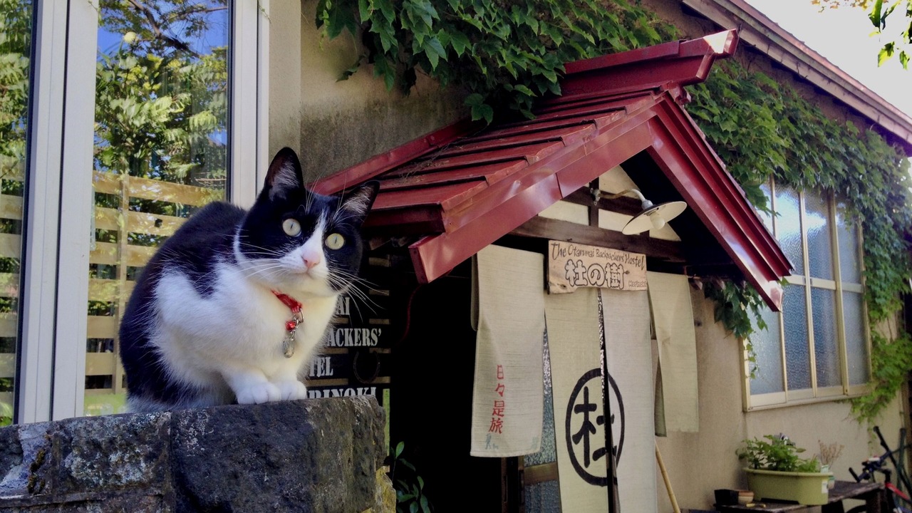 Photo of Outdoor in Otaru